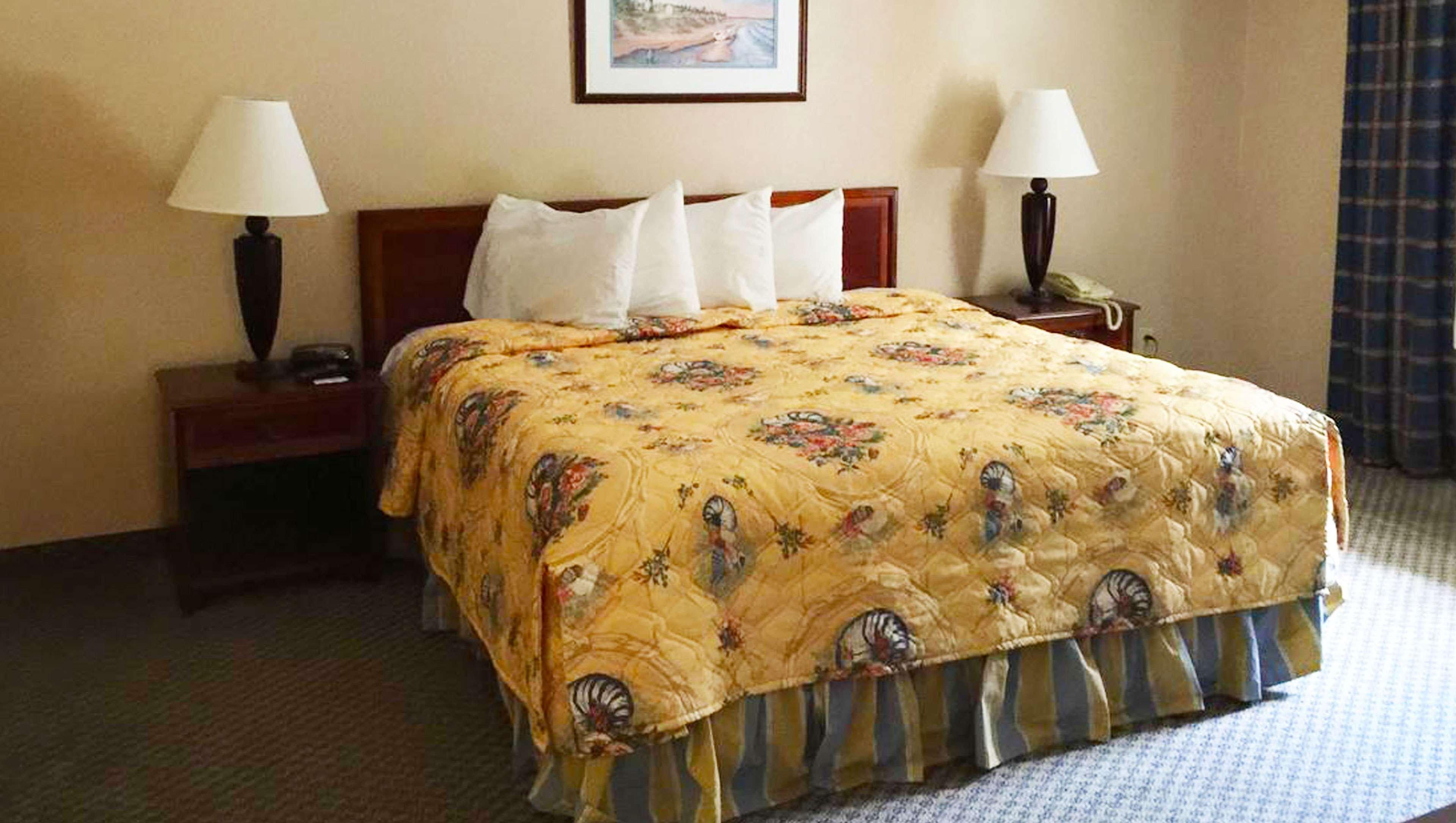 Mayfair Inn Williamston Esterno foto